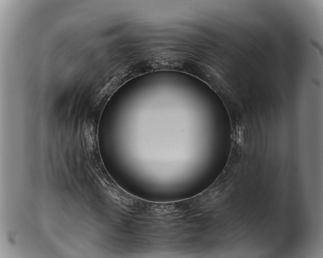 X0000100230915200806061405