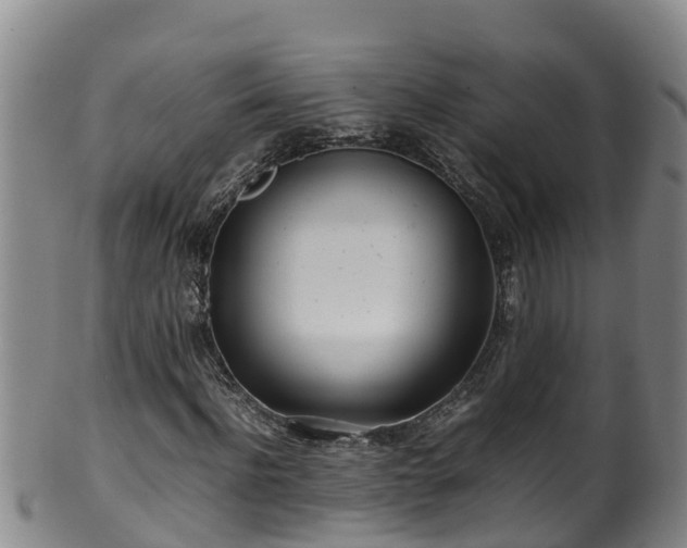 X0000100230916200806061405