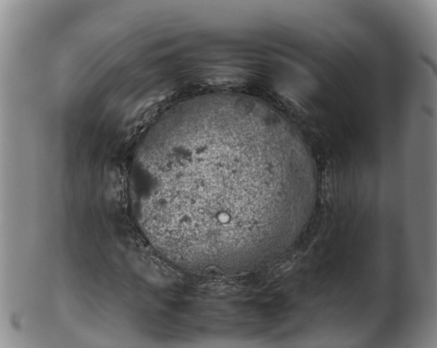 X0000100230917200806061405