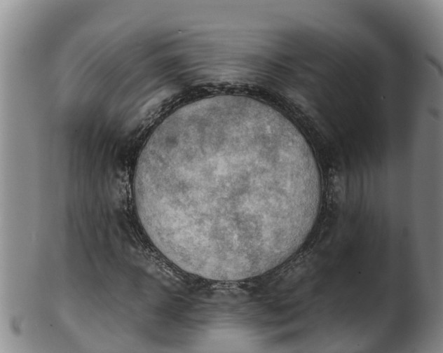 X0000100230918200806061405