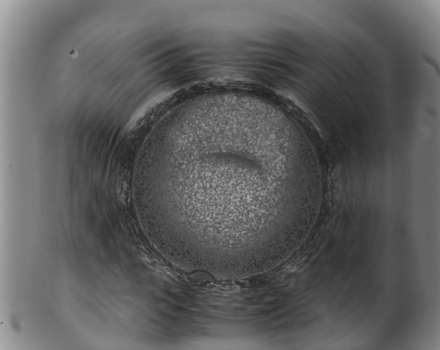 X0000100230919200806061405