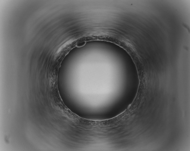 X0000100230920200806061405