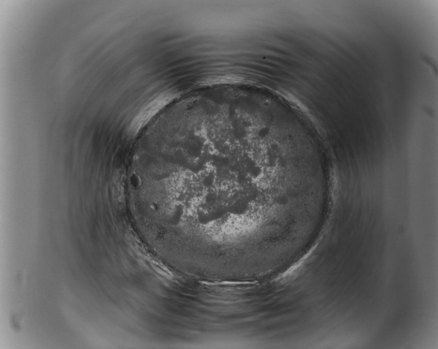 X0000100230921200806061405