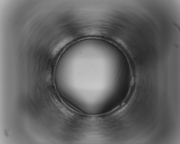 X0000100230922200806061405