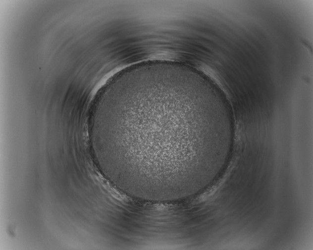 X0000100230923200806061405