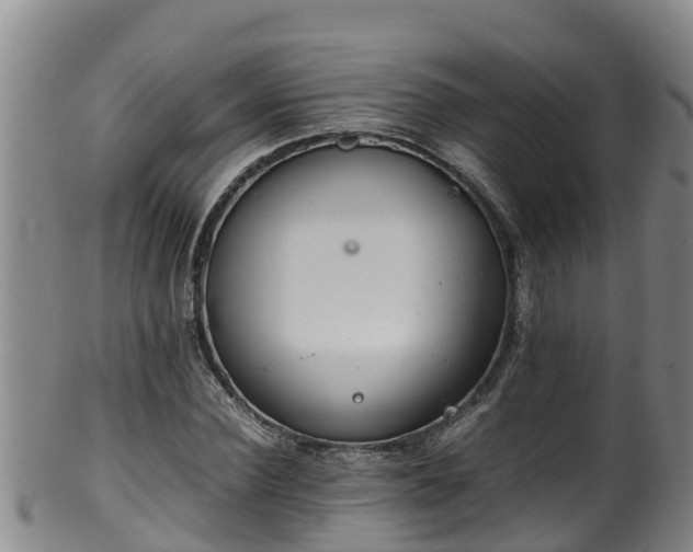 X0000100230924200806061405