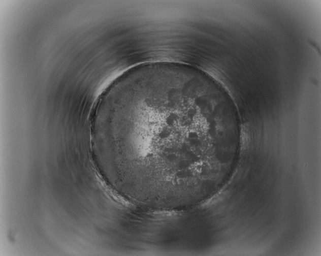 X0000100230925200806061405