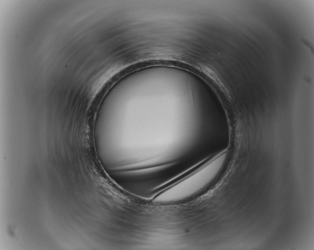 X0000100230926200806061405