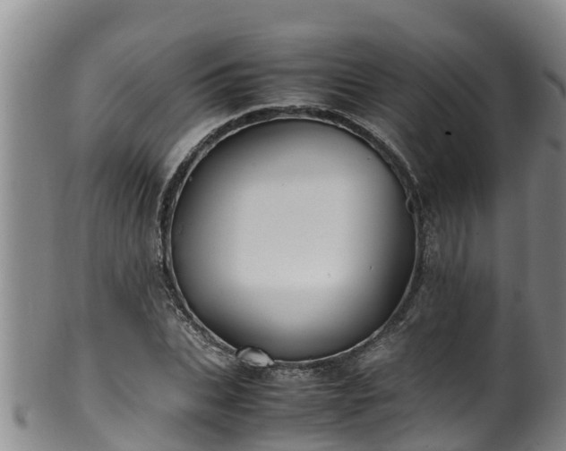 X0000100230927200806061405