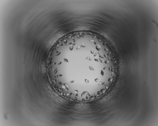 X0000100230929200806061405