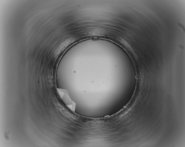 X0000100230930200806061405