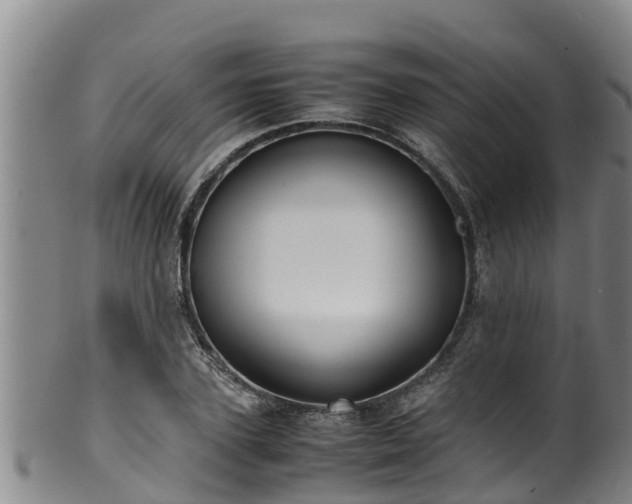 X0000100230931200806061405