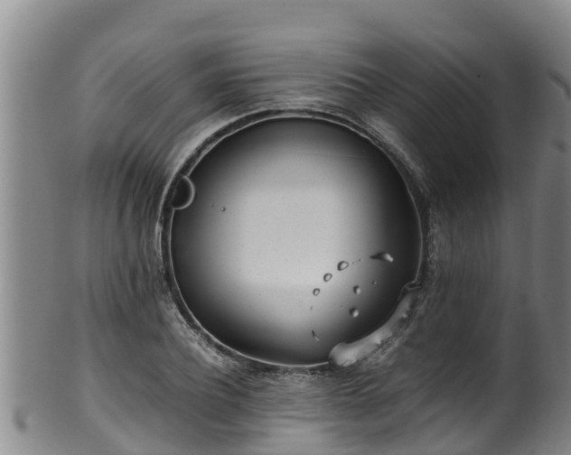 X0000100230932200806061406