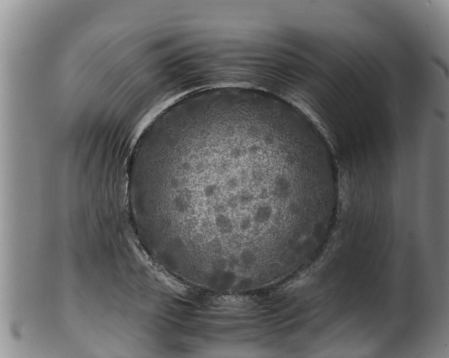 X0000100230933200806061406