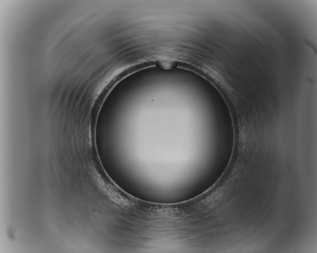 X0000100230934200806061406