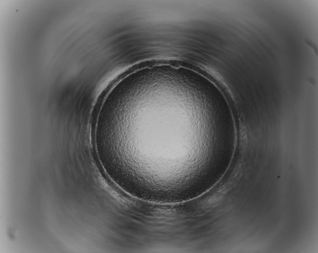 X0000100230935200806061406