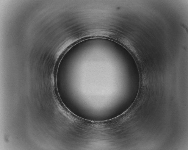 X0000100230936200806061406