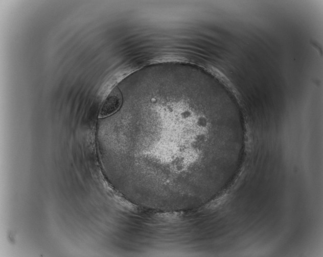 X0000100230937200806061406