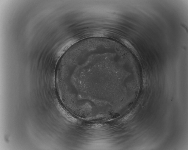 X0000100230938200806061406