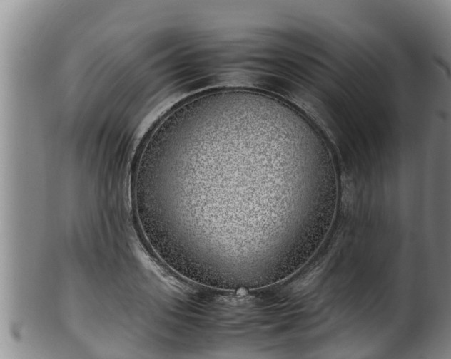 X0000100230939200806061406