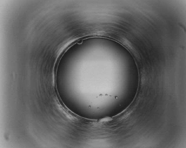 X0000100230940200806061406