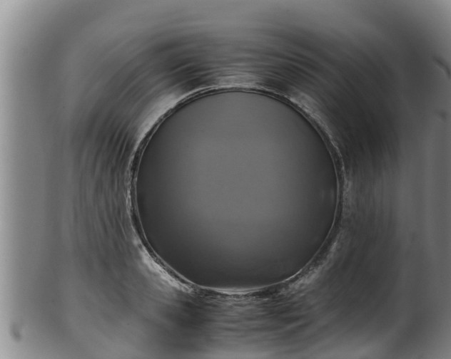 X0000100230941200806061406