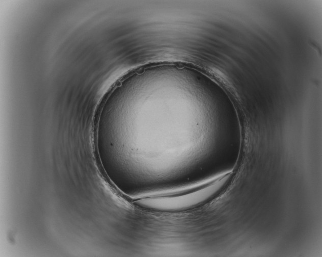 X0000100230942200806061406