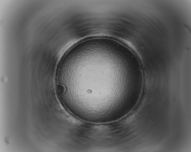 X0000100230943200806061406