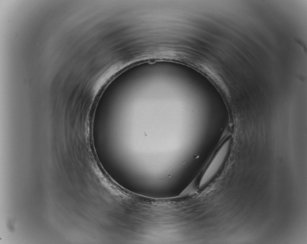 X0000100230944200806061406