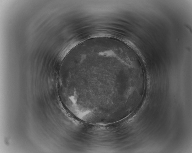 X0000100230945200806061406