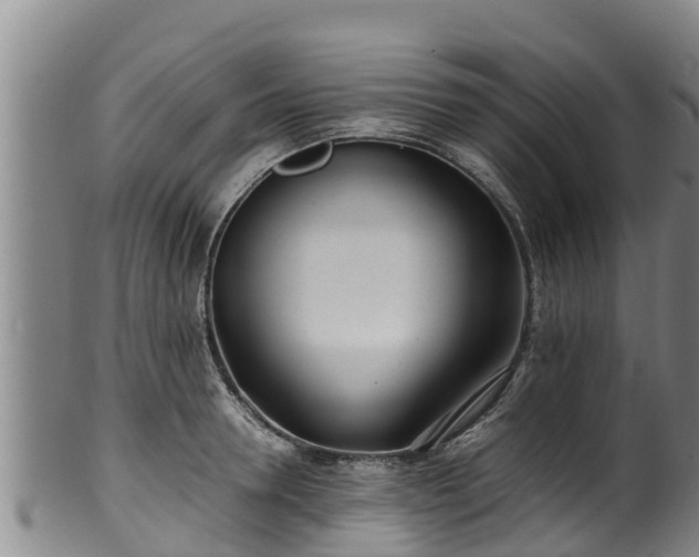 X0000100230946200806061406