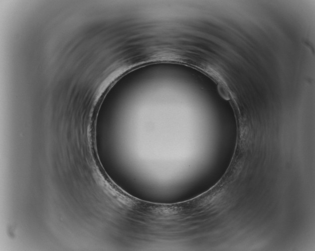 X0000100230947200806061406