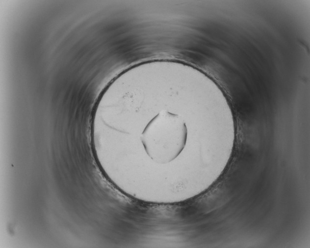 X0000100230950200806061406