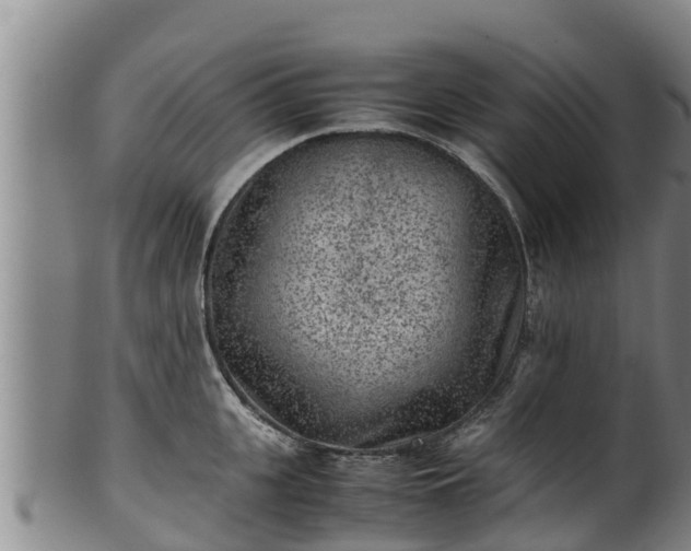 X0000100230951200806061406