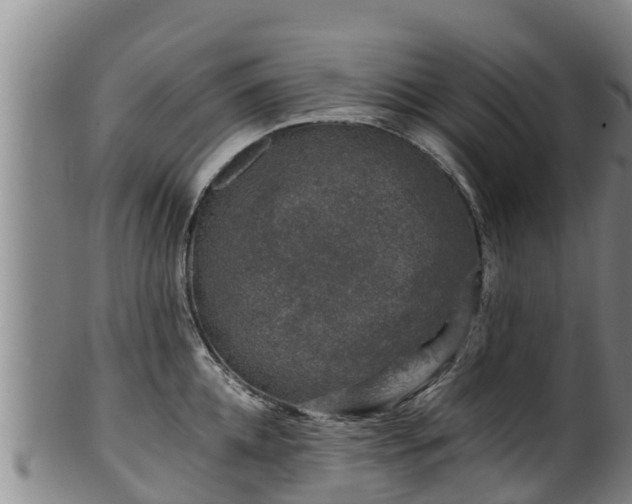 X0000100230952200806061406