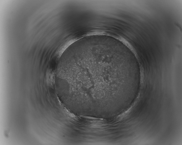 X0000100230953200806061406