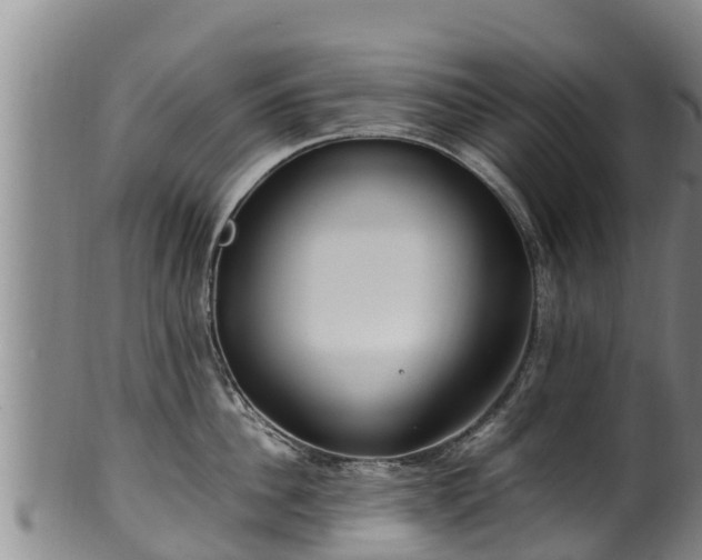 X0000100230956200806061406