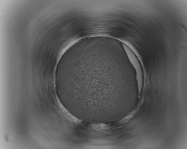 X0000100230957200806061406