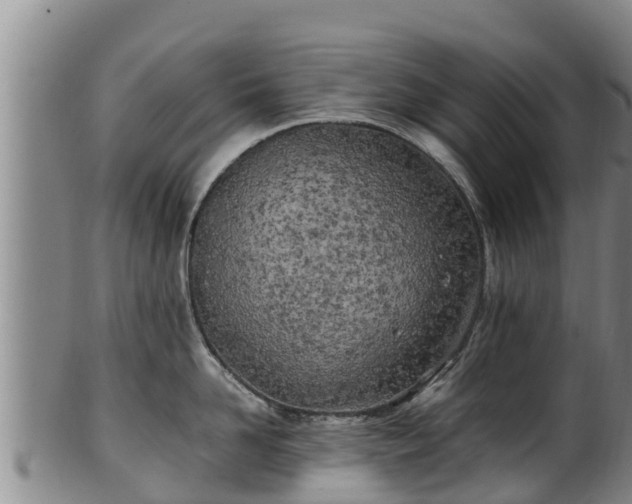 X0000100230958200806061406