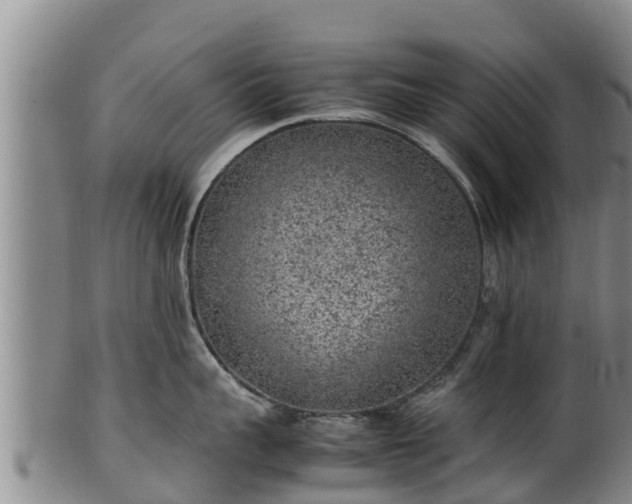 X0000100230959200806061406