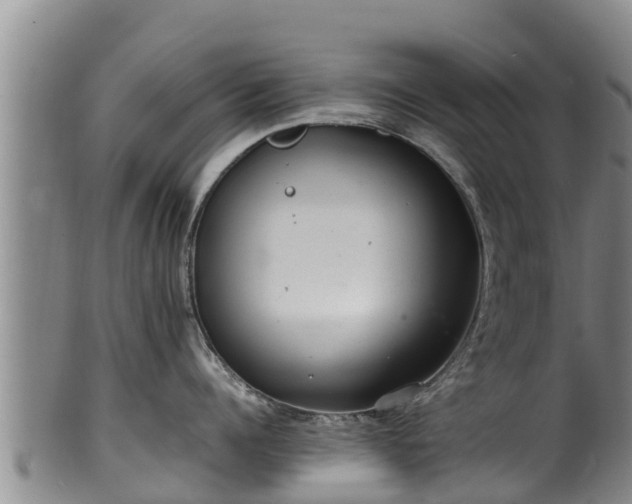 X0000100230960200806061406