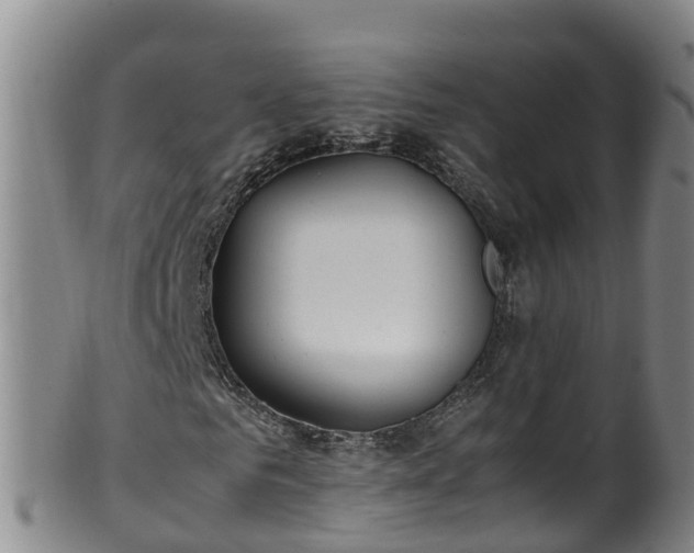 X0000100230961200806061405