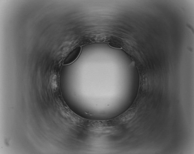 X0000100230962200806061405