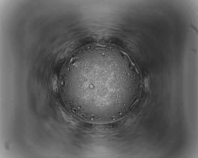 X0000100230963200806061405