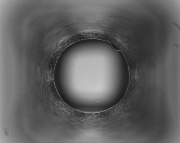 X0000100230965200806061405