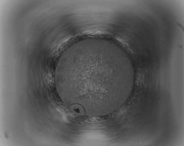 X0000100230966200806061405