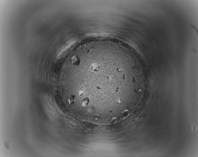 X0000100230967200806061405