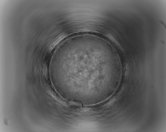 X0000100230969200806061405