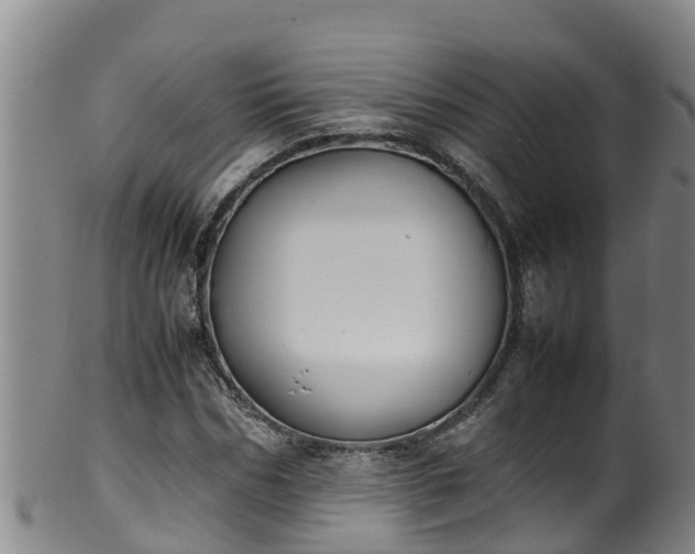 X0000100230970200806061405