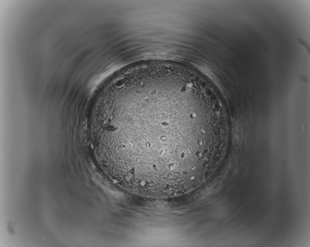 X0000100230971200806061405